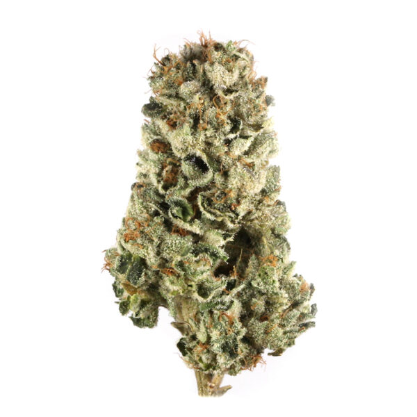 Girl Scout Cookies Cannabis Strain (3.5g)